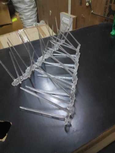 Bird Spike