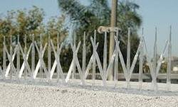 Polycarbonate Bird Spikes BS2